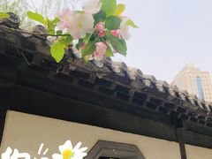-团结湖公园