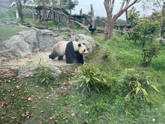 -武汉动物园
