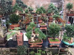 -秦美花卉(天朗·莱茵小城2期店)