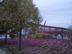 -嘉荫恐龙国家地质公园