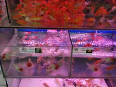 -欧尚超市苏州店停车场(金鸡湖路店)