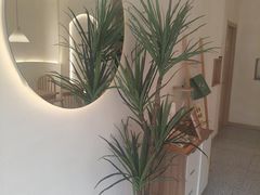 -一只小云朵a little cloud