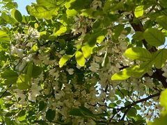 -石岛赤山风景区