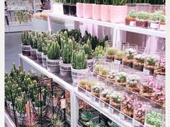 -KKV(深圳宏发大仟里店)