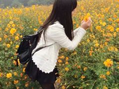 -北京东方普罗旺斯薰衣草庄园