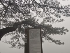 -庐山风景区花径公园