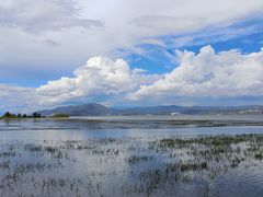 -白家寨子·山野白族菜(古城总店)