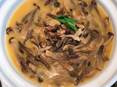 -鸽子侯·家宴·平价海鲜(市图书馆店)