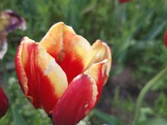 -长春公园(普阳街道)