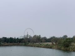 -日照海滨国家森林公园