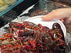 -苏格里岛自助烤肉海鲜火锅(成都金牛万达店)