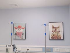 -纳吉亚猫专科动物诊疗中心(蒋宅口分院)