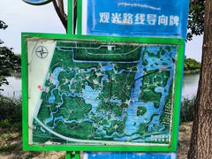 -塘沽森林公园
