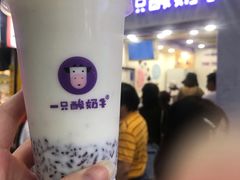 -一只酸奶牛(八一路店)