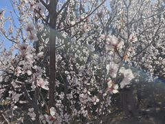 -白水寺森林公园