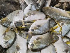 -鸿港海鲜批发市场