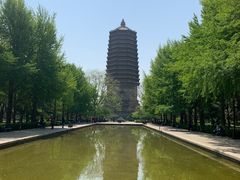 -玲珑塔公园