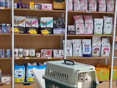 -艾贝尔宠物医院·24H转诊中心·肿瘤猫专科(江宁双龙店)