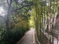 -龙头寺公园