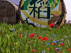 -嘉北郊野公园