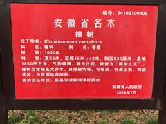 -新安江山水画廊风景区