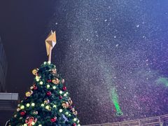 -交通银行前滩31演艺中心