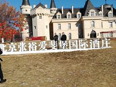 -北京张裕爱斐堡酒庄