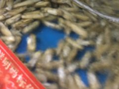 -晓伟海鲜家常菜