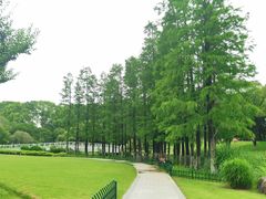 -昆山城市公园