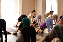 -酉嘉瑜伽YO+YOGA