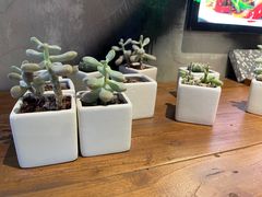 -小财盆地桌烤肉