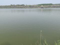 -西青郊野公园