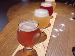 -JollyBee’s Craft Nest乐蜂精酿