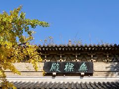 -灵谷景区