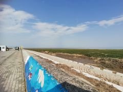 -南汇嘴观海公园