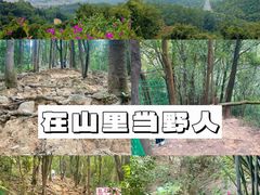 -火炉山森林公园