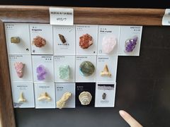 -北京周口店北京人遗址博物馆
