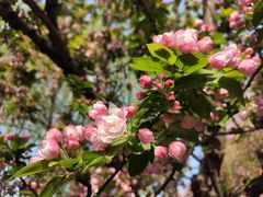 -元大都城垣遗址公园