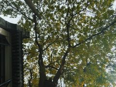 -德福楼咖啡吧(德福巷店)