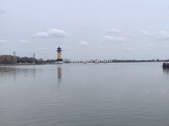 -溱湖国家湿地公园