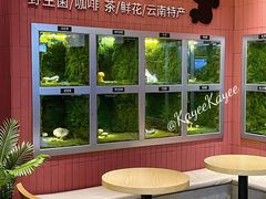 -芸山季·云南野生菌火锅(宝能环球汇店)