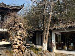 -日出青木·杭帮菜名店