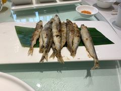 -香港美食大酒楼