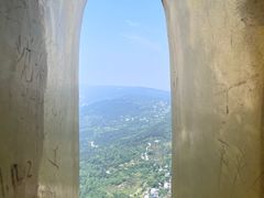 -大金鹰园
