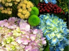 -静岸花卉园艺(三星坊店)