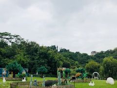 -厦门悦华酒店·绿庭主题自助餐厅