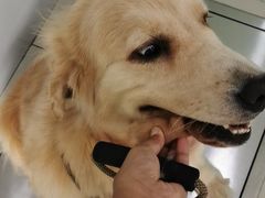 -佳雯宠物医院(金华南路分院)