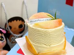 -山与蓝·轻糖鲜果蛋糕(勒泰店)