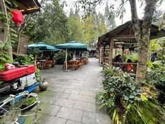 -青城甲(青城山店)