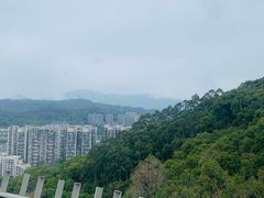 -福道